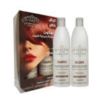 ال صالون _ مجموعة حماية اللون للشعر المصبوغ شامبو و بلسم